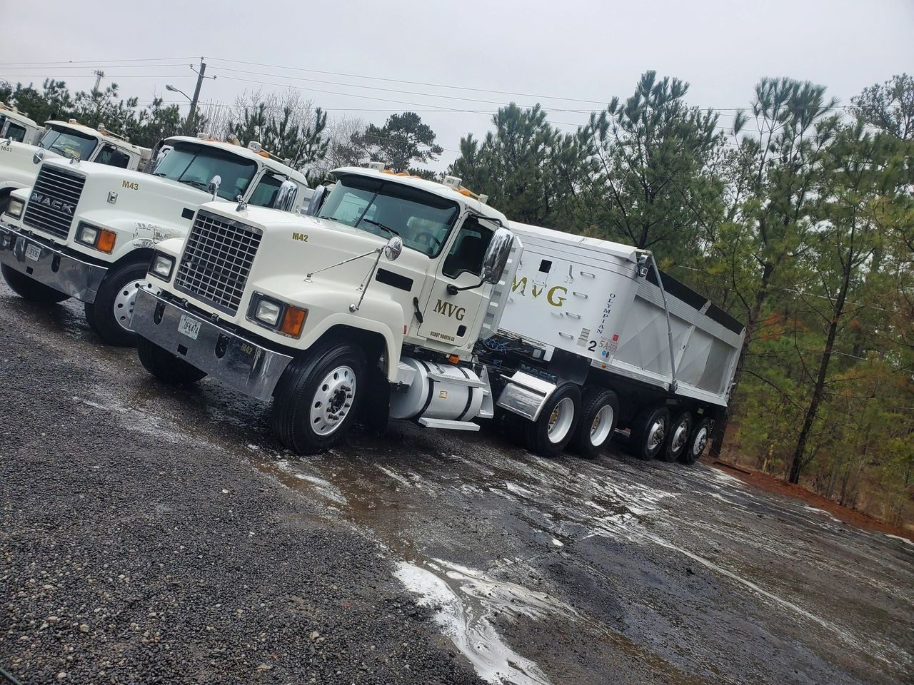 Cleaned Trucks in a Row